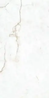 Crystal White Compacglass 60x120 Rec.