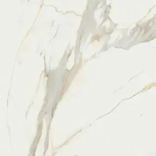 Calacata Gold  Compacglass 120x120 Rec.