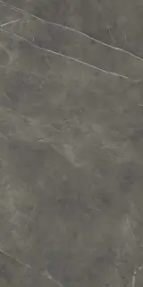 Marvel Grey Stone |60x120