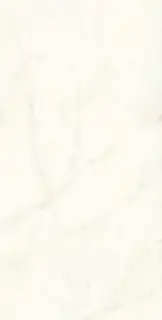 Marvel Calacatta Delicato 75x150 Silk KL