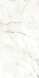 Marvel Statuario Supremo Matt |60x120