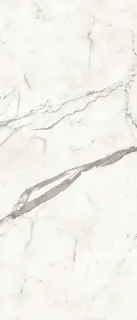 Marvel Statuario Supremo Silk 120x278