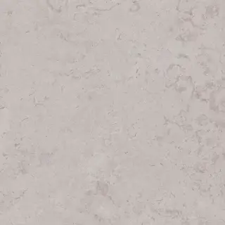 Про Лаймстоун серый светлый натуральный обрезной |60х60