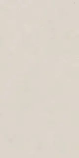Про Лаймстоун бежевый светлый натуральный обрезной 60x119,5