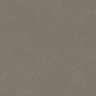 Джиминьяно коричневый матовый обрезной 60х60