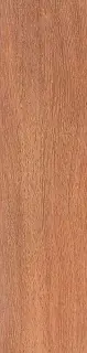 Вяз коричневый l9.9х40.2