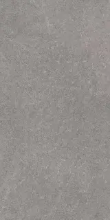 Роверелла пепельный обрезной  |60х119.5