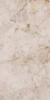 Риальто светлый обр лапп. гр. лап. |60x119.5