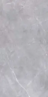 Риальто серый|119.5x238.5