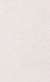 Сорбонна беж |25x40