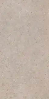 Риккарди бежевый матовый обрезной 60x119,5