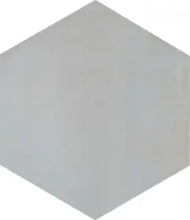 Раваль серый светлый ХХ|29x33.4