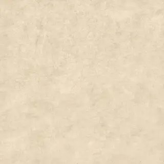 Gravity Beige XX 80x80