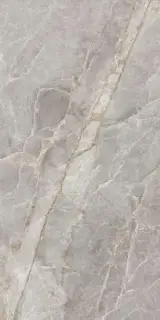 Majestic Grey Silky 60x120