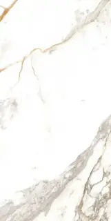 Medici Gold Natural |80x160