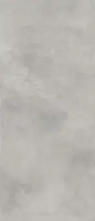 Millennium Silver Nat 120x278