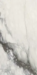 Etoile Renoir Mat 60x120