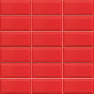 Bissel Rojo 10x20