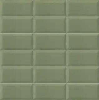 Bissel G-Olive 10x20