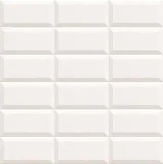 Bissel Mate Bco 10x20