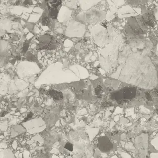 Forte Dei Marmi Ceppo Ap. Pearl Lastra 60x60 20mm