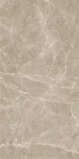 Frappuchino Taupe Polished 80x160