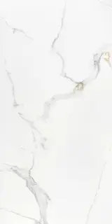 Statuario Platinum Carving 60x120