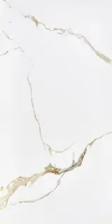 Statuario Gold Fusion 60x120