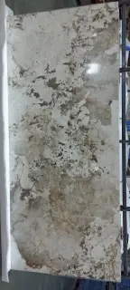 Patagonia Polished 120x250