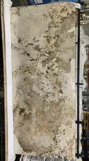 Patagonia Polished 120x250