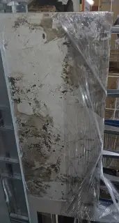 Patagonia Polished 120x250