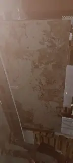 Patagonia Polished 120x280