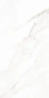 Calacatta Classic Polished 60x120
