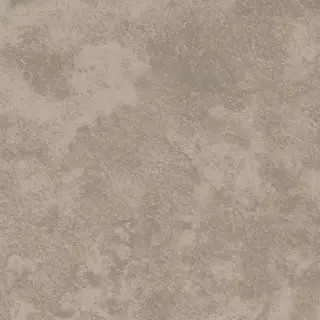 Satin Pink Matt. 60x60