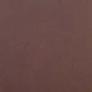 Levels Plum Matt 20x20