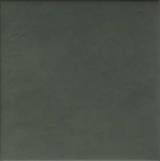 MUTINA DINTORNI VERDE SCURO 20.5х20.5