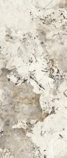 Patagonia Polished 120x278