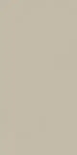 Forum Slim Desert 60x120