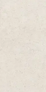 Forum Stone Polar 60x120