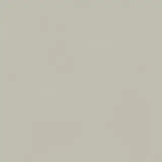 Forum Slim Silver 80x80