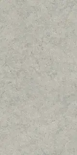 Forum Stone Silver 60x120