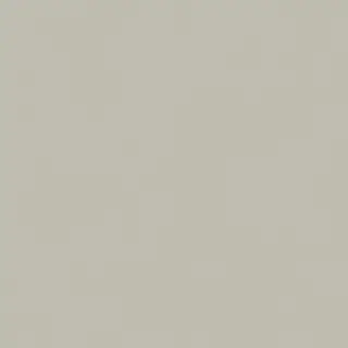 Forum Slim Silver 120x120