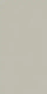 Forum Slim Silver 60x120