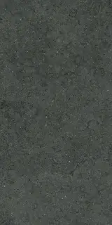 Forum Stone Petrol 60x120