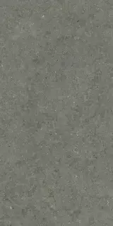 Forum Stone Iron 60x120