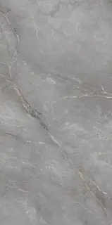 Orobico Grey Polished 60x120