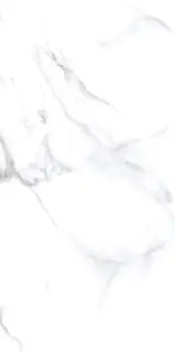 Statuario Chic Matt 60x120