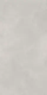 Newport Gris Matt 60x120