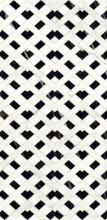 Carrara Giola Decor Polished 60x120