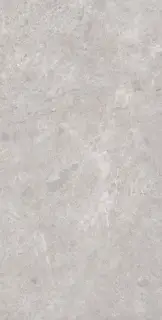 Tokyo Grey Polished 80x160